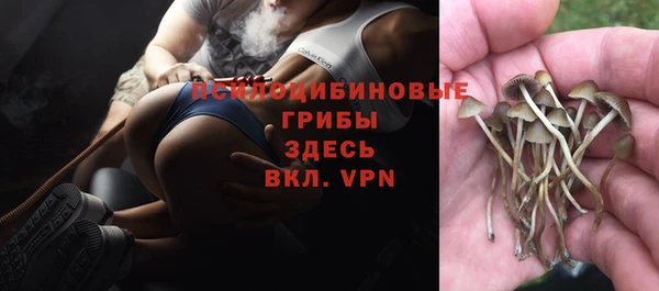 ALPHA PVP Козельск