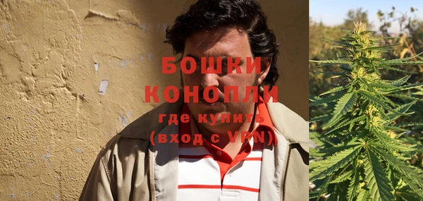 прущие крисы Козловка