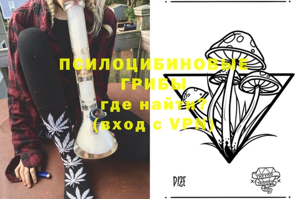 ALPHA PVP Козельск
