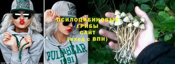 ALPHA PVP Козельск
